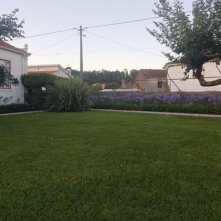 Vila Delfina Lousa  Ngoại thất bức ảnh
