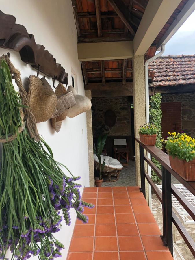 Vila Delfina Lousa  Ngoại thất bức ảnh