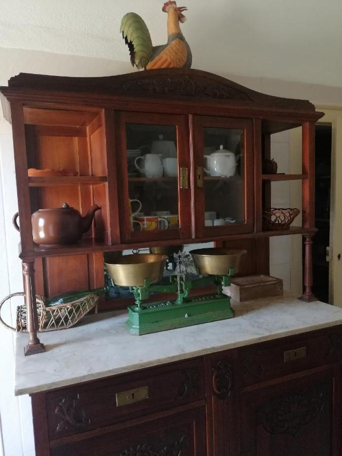 Vila Delfina Lousa  Ngoại thất bức ảnh