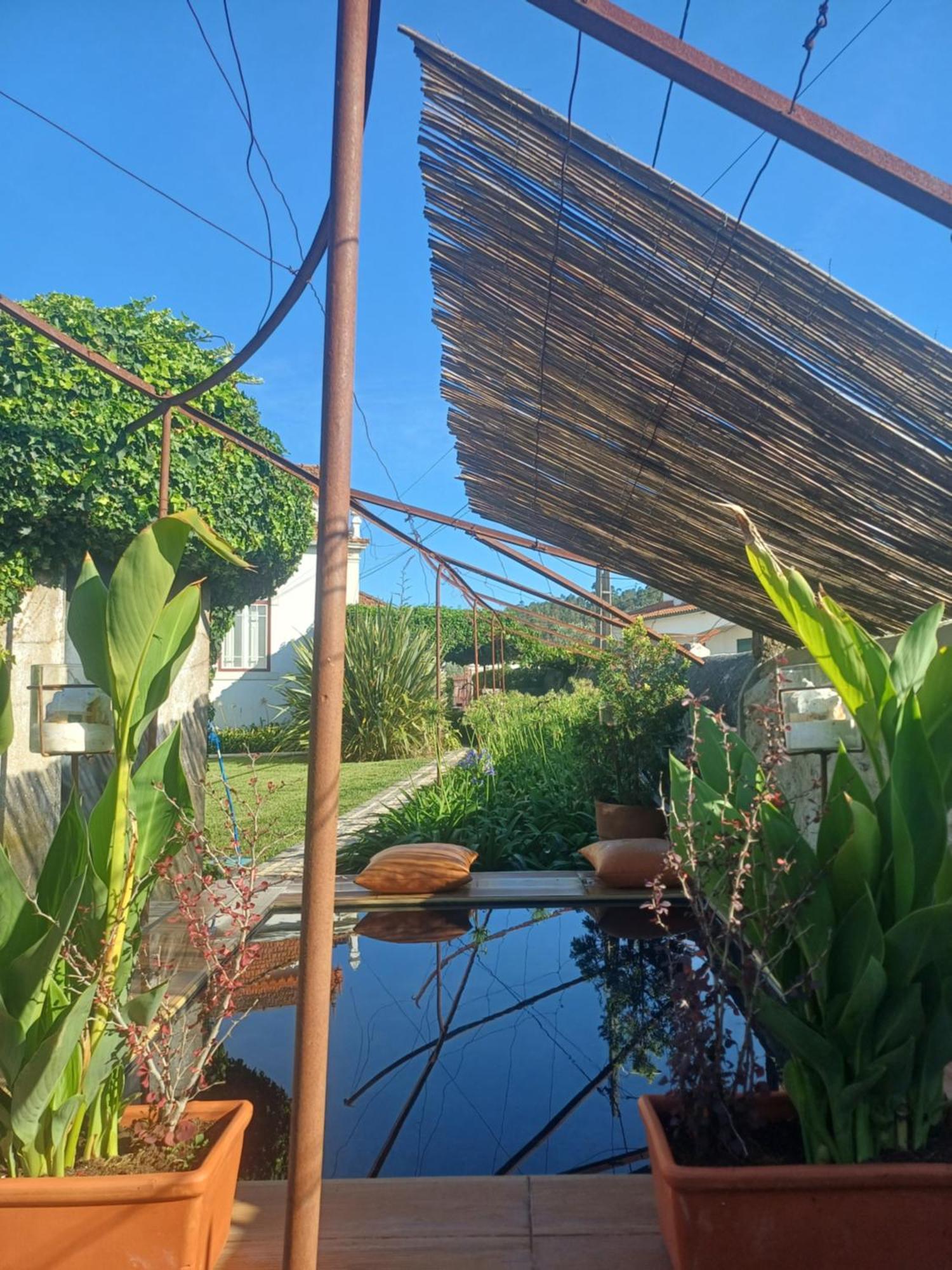 Vila Delfina Lousa  Ngoại thất bức ảnh