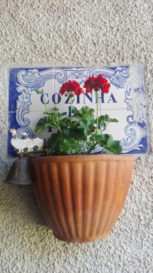 Vila Delfina Lousa  Ngoại thất bức ảnh